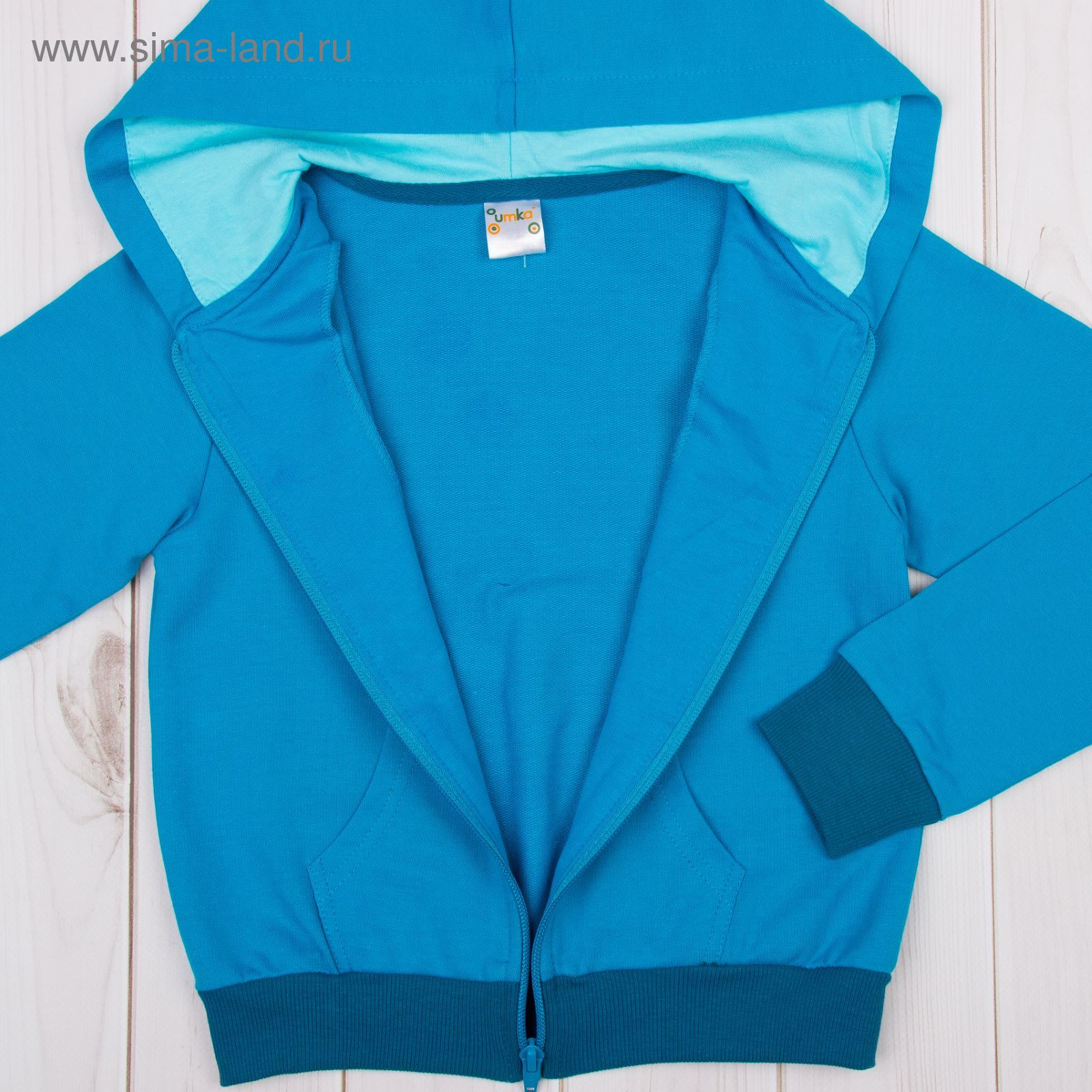 Комплект (толстовка, брюки) для девочки, рост 98-104 см, цвет голубой (арт. 205-М_Д)